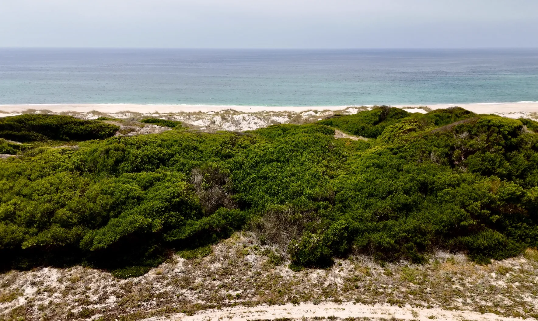 Coastal dune landscape stretching toward the Atlantic Ocean in Portugal