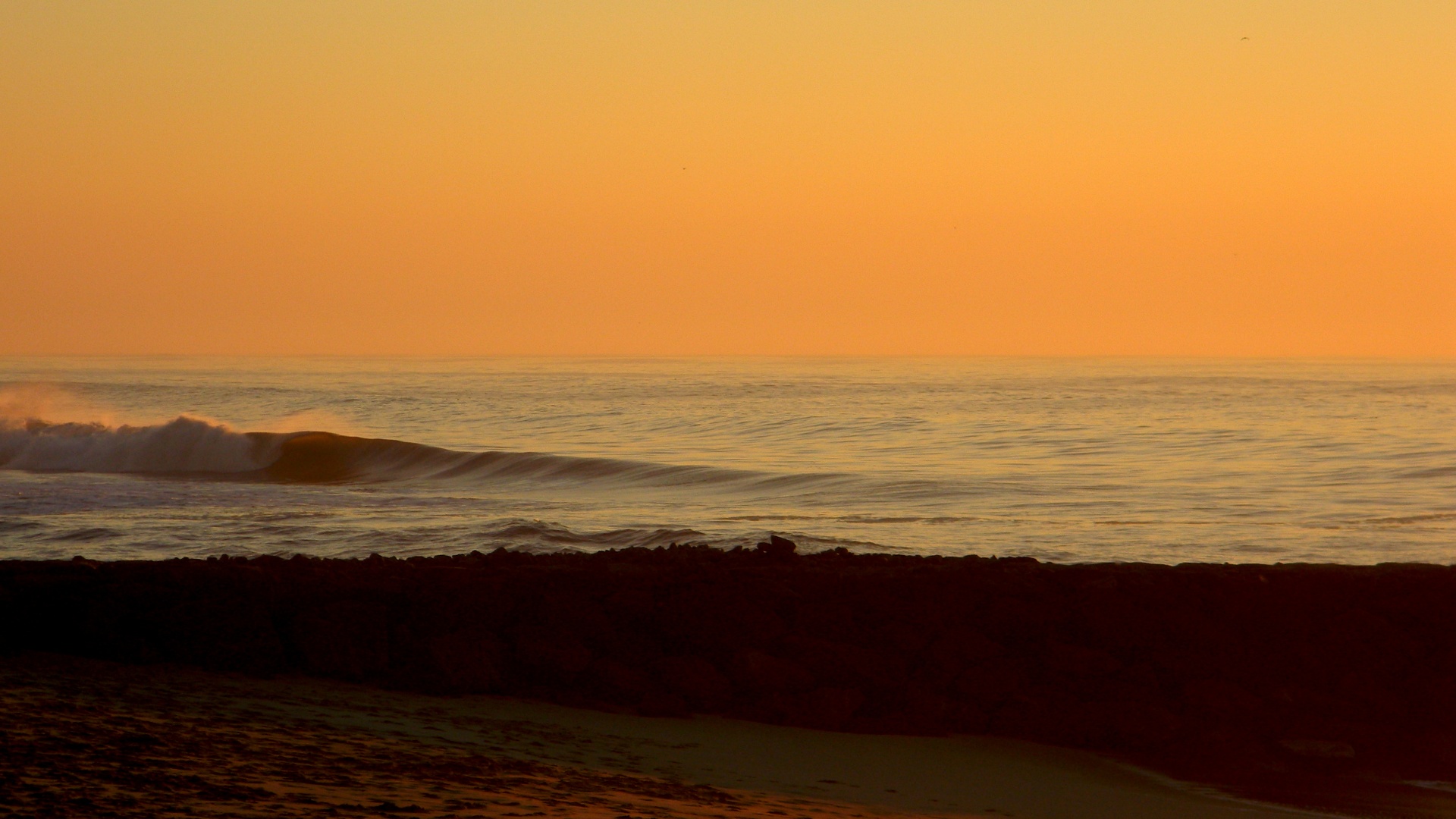 Golden Atlantic wave breaking along the Portuguese coast